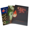 Rendu 3D des trois tomes d'Occulea Saïgis