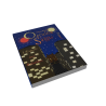 Modélisation 3D du tome 1 d'Occulea Saïgis