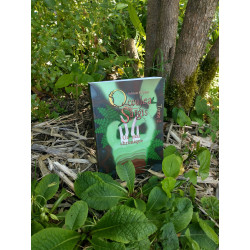 Occulea Saïgis - Tome 2 au milieu de la végétation (vue première de couverture)